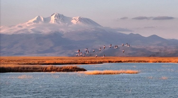 Kayseri'de Sultan Sazlığı Milli Parkı'ndaki yangın söndürüldü