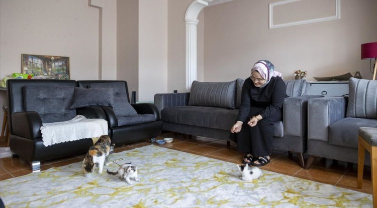 Mersin'de camide doğan kediler büyüyor