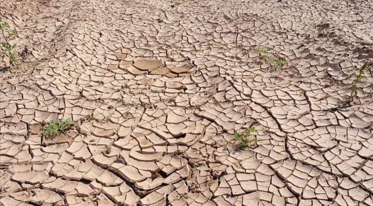 Türkiye son 35 yılın en kurak mart ayını yaşadı