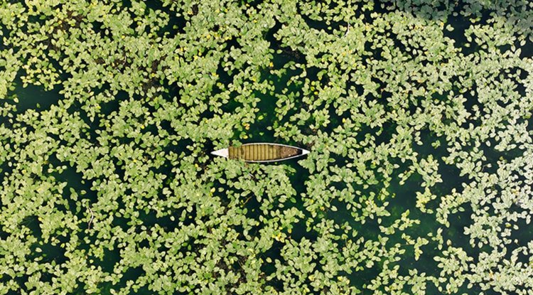 Hatay'daki Gölbaşı Gölü ilkbaharın gelişiyle renklendi