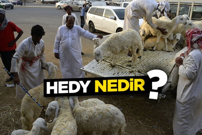Hedy nedir?