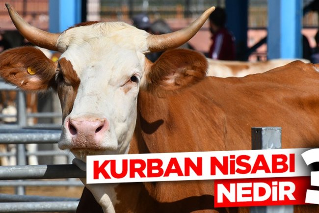 Kurban nisabı nedir?