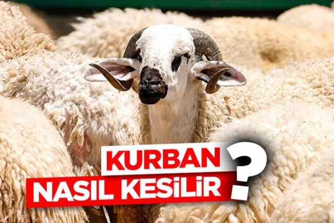 Kurban nasıl kesilir?