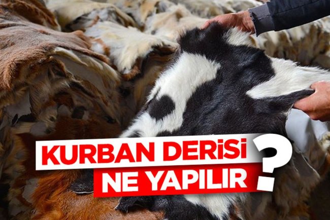 Kurban derisi ne yapılır?