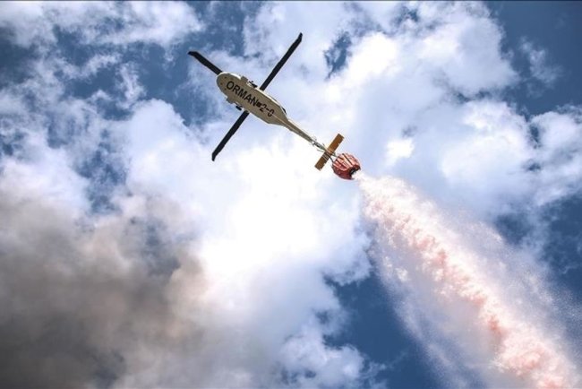 Orman teşkilatı, orman yangınlarıyla mücadelede kara ve hava gücünü artırdı