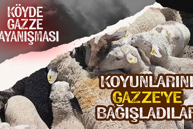 Köyde Gazze dayanışması: Koyunlarını Gazze'ye bağışladılar