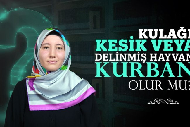 Kulağı kesik veya delinmiş hayvan kurban olur mu?