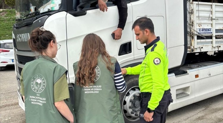 Doğudaki illerden batıya sevk edilen kurbanlıklar Erzincan'da denetleniyor