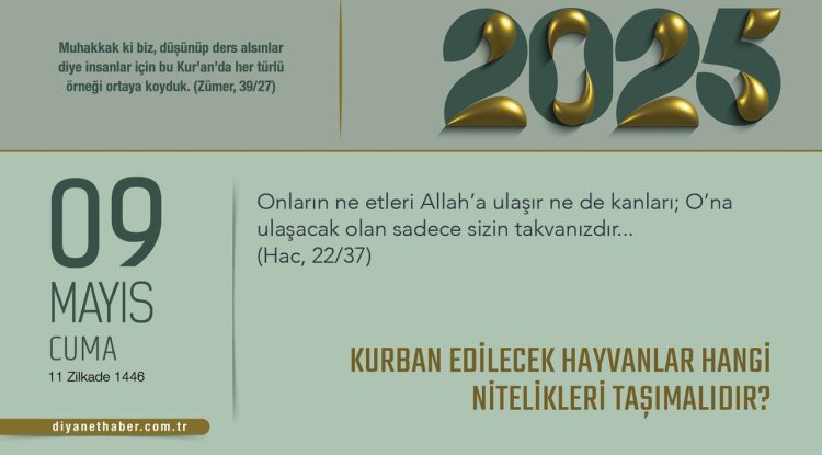 Kurban Edilecek Hayvanlar Hangi Nitelikleri Taşımalıdır?