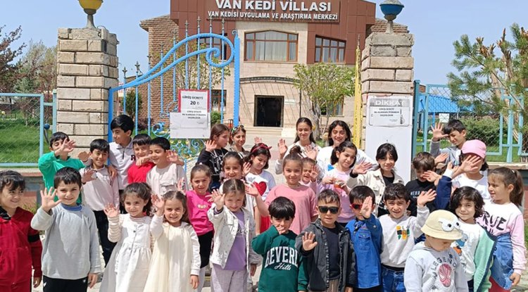 Gevaş'ta minikler gezide buluştu