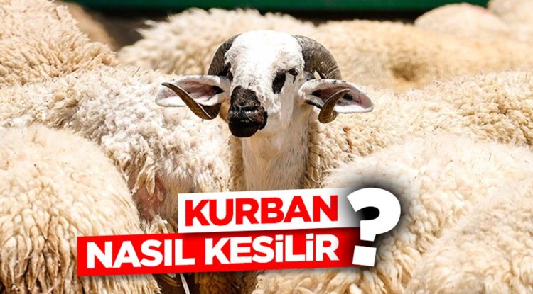 Kurban nasıl kesilir?