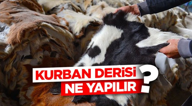Kurban derisi ne yapılır?