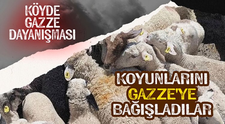 Köyde Gazze dayanışması: Koyunlarını Gazze'ye bağışladılar