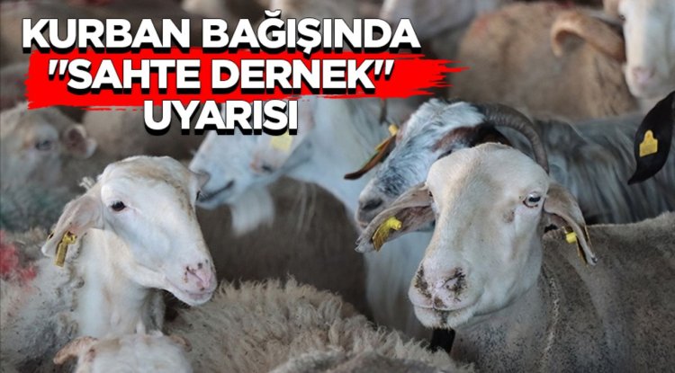 Kurban bağışında "sahte dernek" uyarısı