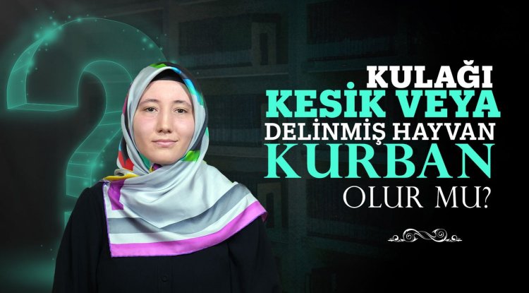 Kulağı kesik veya delinmiş hayvan kurban olur mu?