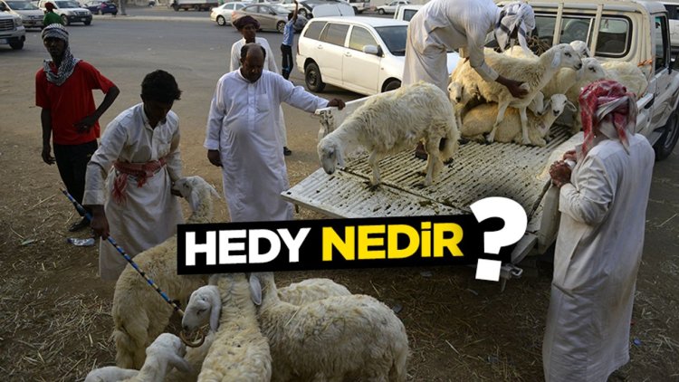 Hedy nedir?