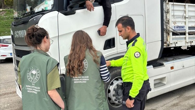 Doğudaki illerden batıya sevk edilen kurbanlıklar Erzincan'da denetleniyor