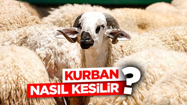 Kurban nasıl kesilir?