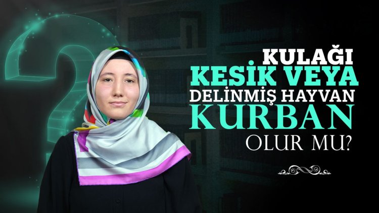 Kulağı kesik veya delinmiş hayvan kurban olur mu?