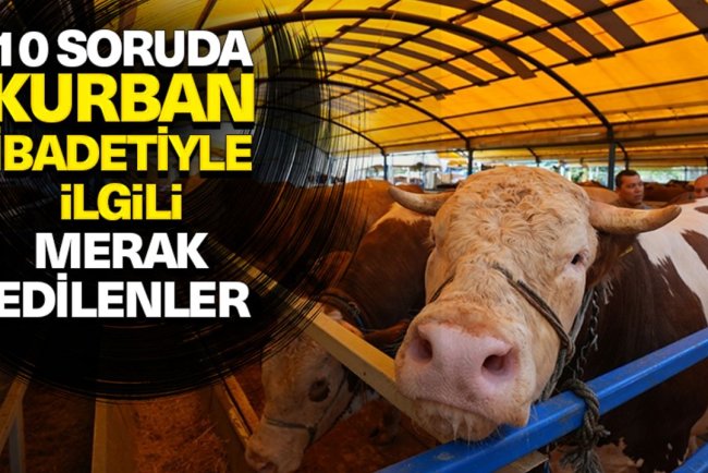 10 soruda kurbanla ilgili merak edilenler