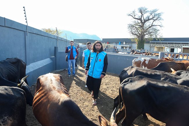 TDV ekipleri Mozambik'te kesilecek kurbanları kontrol etti