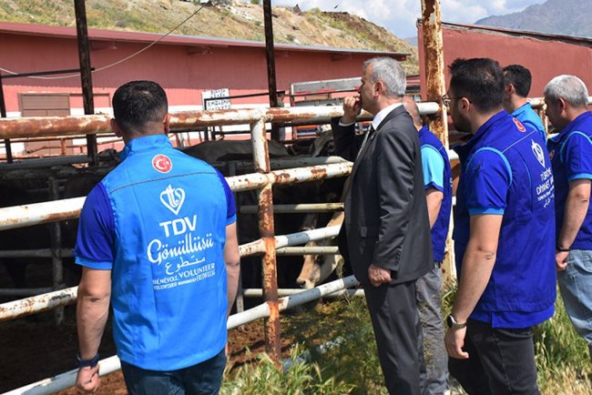 TDV, Van'da 6 bin 825 hisse kurbanlığın kesimine başladı