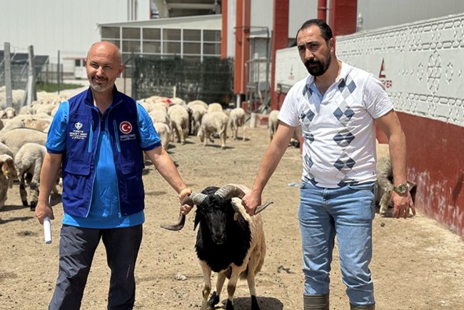 Türkiye Diyanet Vakfı, Konya'da 4 bin 25 kurban hissesinin etini ihtiyaç sahiplerine ulaştıracak