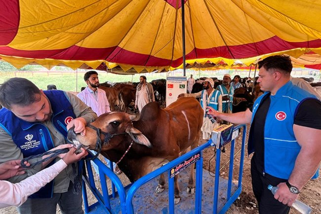 Milli güreşçi Rıza Kayaalp, TDV'nin Pakistan'daki kurban organizasyonuna katıldı