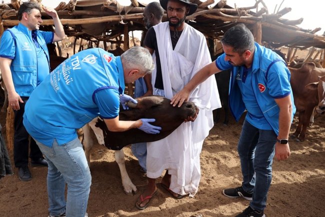 Türkiye Diyanet Vakfı, Kurban Bayramı'nda Moritanya'daki ihtiyaç sahiplerini unutmadı