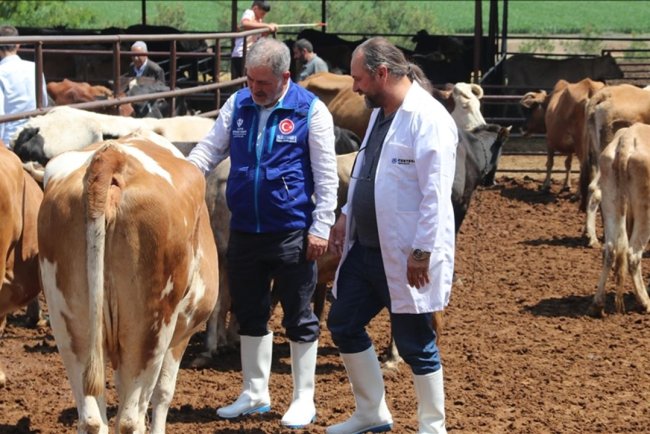 TDV, Diyarbakır'da 4 bin 25 kurban hissesinin etini ihtiyaç sahiplerine ulaştıracak