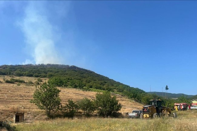 Tokat'ta ormanlık alanda çıkan yangına müdahale ediliyor