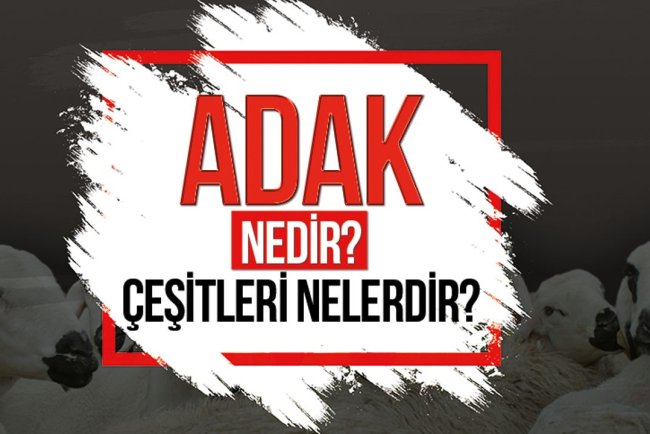 Adak nedir? Adak çeşitleri nelerdir?