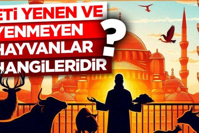 Eti yenen ve yenmeyen hayvanlar hangileridir?