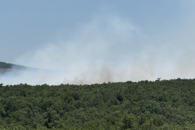 Bursa'da çıkan orman yangınına müdahale ediliyor