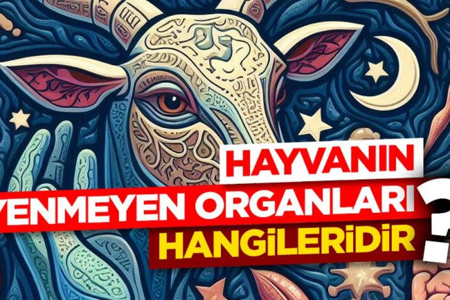 Hayvanın yenmeyen organları hangileridir?