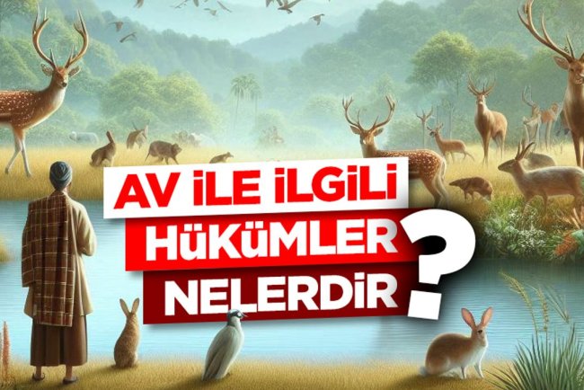 Av ile ilgili hükümler nelerdir?