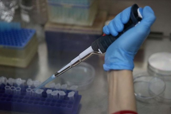 KKKA aşısının klinik öncesi çalışmalarının eylüle kadar bitirilmesi planlanıyor