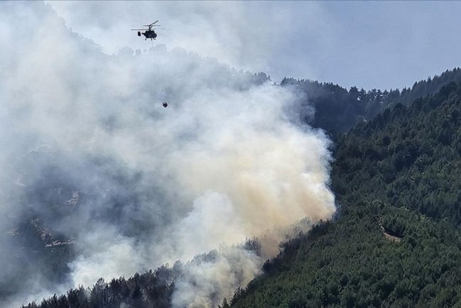 Hatay'da ormanlık alanda yangın çıktı