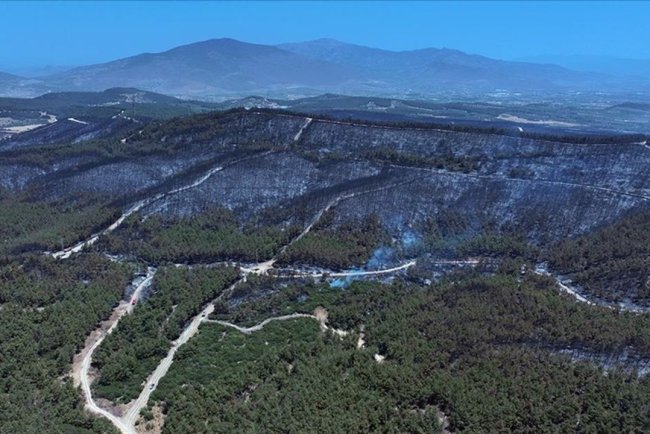 İzmir'de yanan orman alanı havadan görüntülendi
