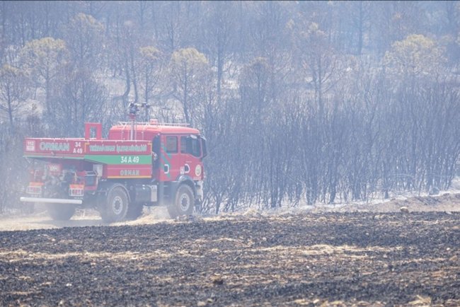 Tekirdağ'da çıkan orman yangınına havadan ve karadan müdahale ediliyor