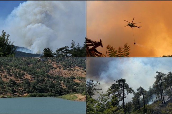 Türkiye genelinde 47 ilde ormanlara giriş yasaklandı