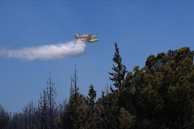 Orman yangınlarıyla ilgili soruşturmalarda 17 şüpheli gözaltına alındı