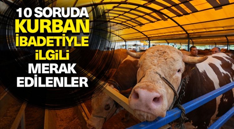 10 soruda kurbanla ilgili merak edilenler