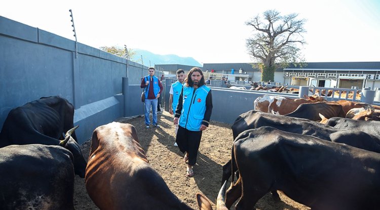 TDV ekipleri Mozambik'te kesilecek kurbanları kontrol etti