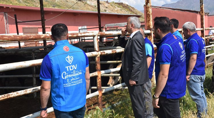 TDV, Van'da 6 bin 825 hisse kurbanlığın kesimine başladı