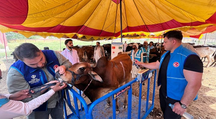 Milli güreşçi Rıza Kayaalp, TDV'nin Pakistan'daki kurban organizasyonuna katıldı