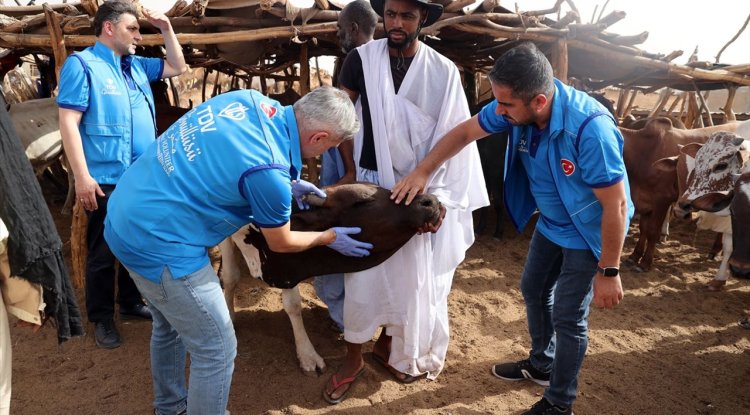 Türkiye Diyanet Vakfı, Kurban Bayramı'nda Moritanya'daki ihtiyaç sahiplerini unutmadı