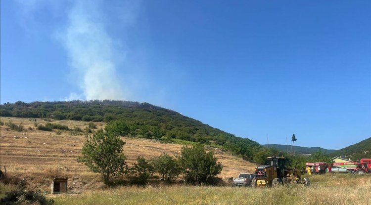 Tokat'ta ormanlık alanda çıkan yangına müdahale ediliyor
