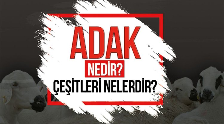 Adak nedir? Adak çeşitleri nelerdir?