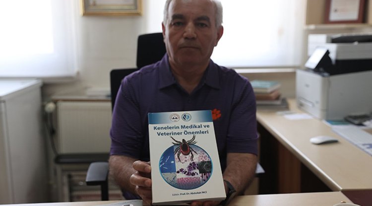 Uzmanından "kene sayısında önceki yıllara göre olağanüstü bir artış yok" açıklaması